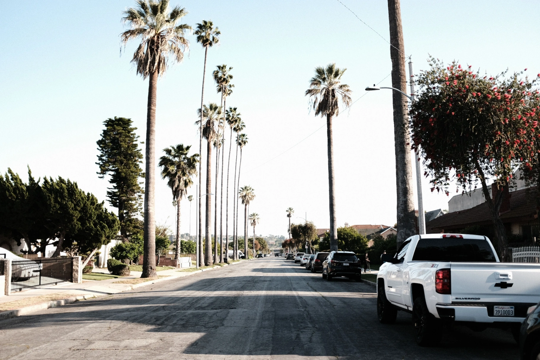 East Los Angeles street lined with palm trees