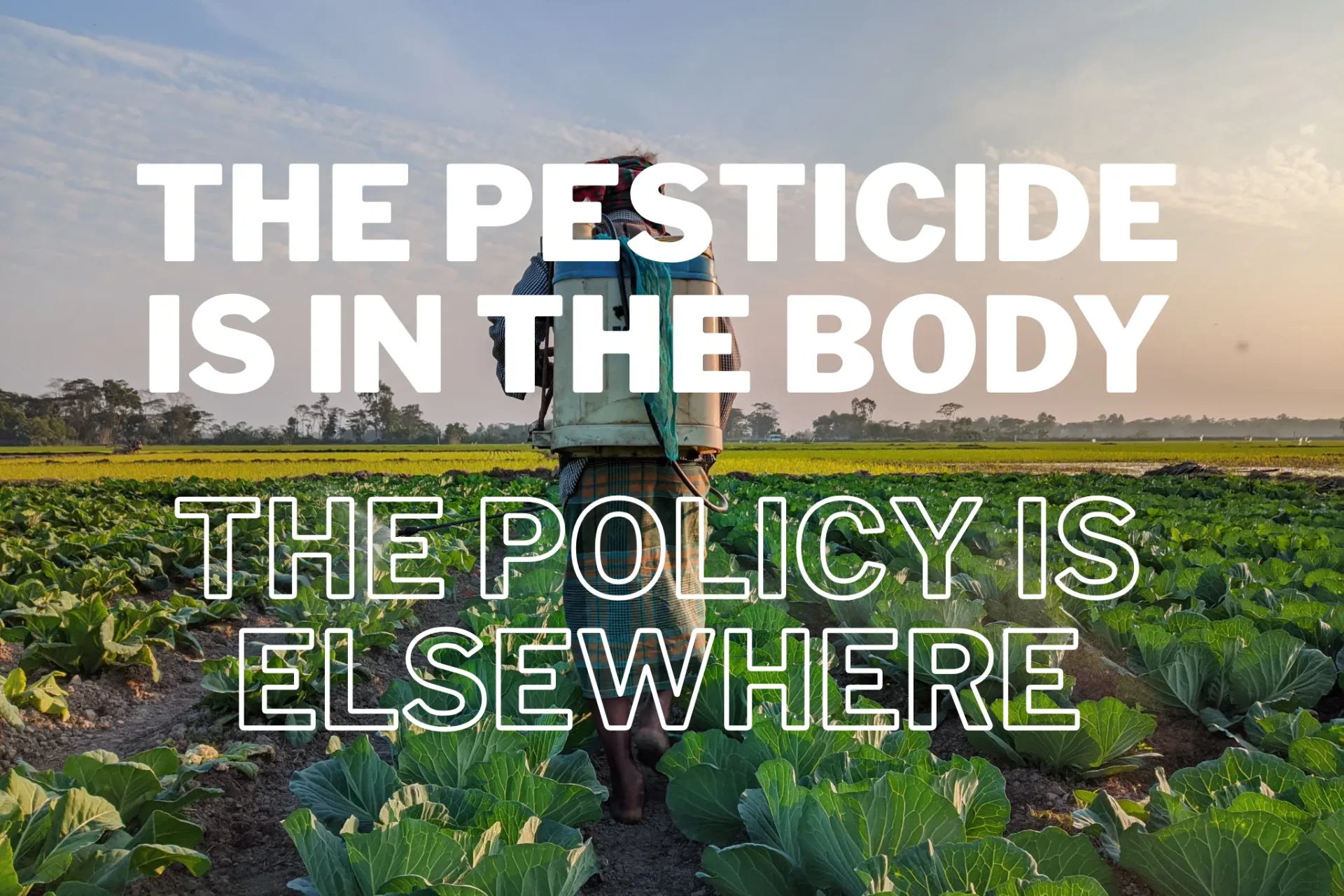 Vol. 7: The Pesticide Is in the Body. The Policy Is Elsewhere.