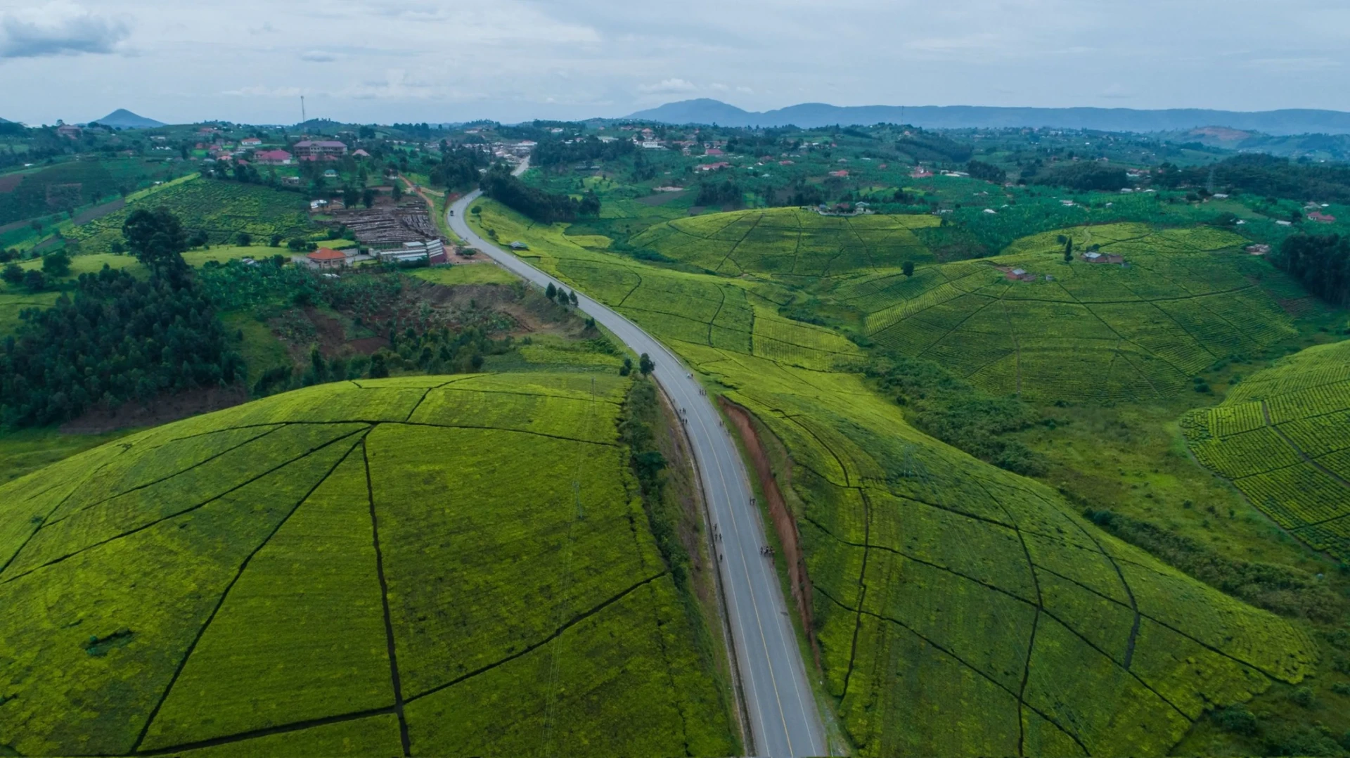 Aerial view of smallholder farm plots across Ugandan hills