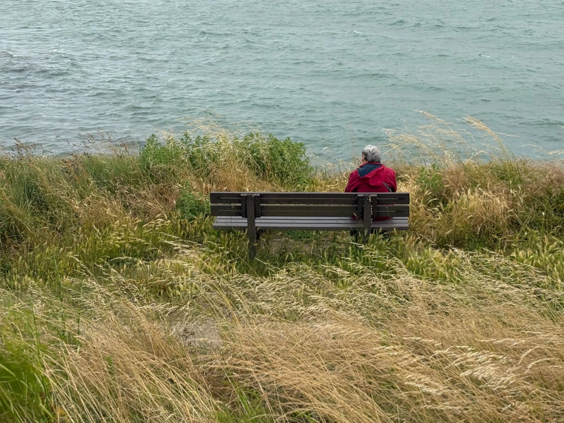 A person sitting alone on a bench looking out over the sea