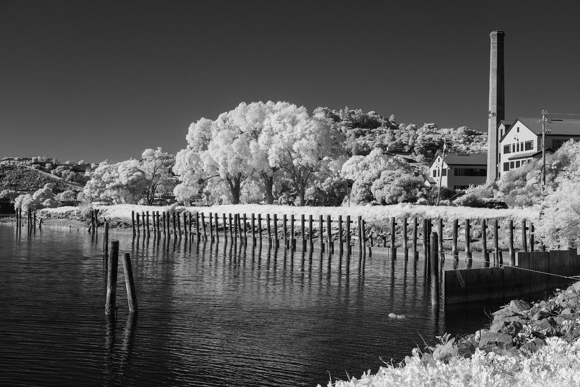 An industrial riverbank with a factory chimney behind bleached trees